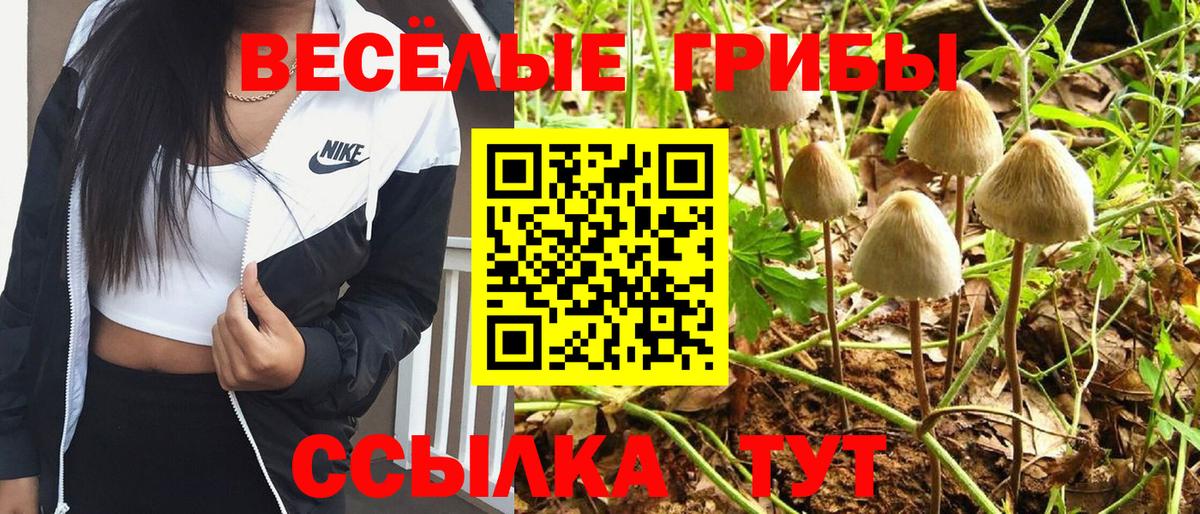 Галлюциногенные грибы ЛСД Узловая