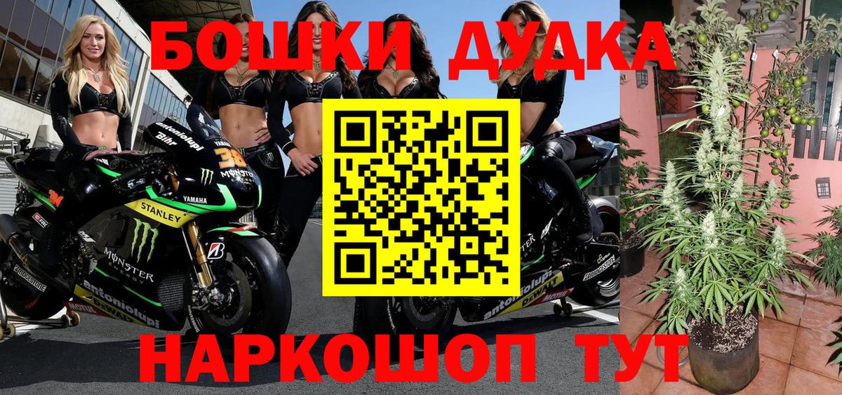 Конопля гибрид Узловая